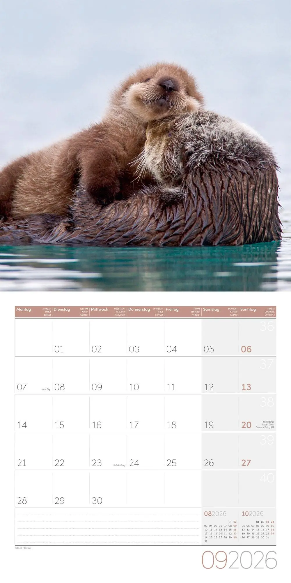 Bild: 9783838446066 | Otter Broschürenkalender 2026 - 30x30 - Art12 | GmbH | Kalender | 2026