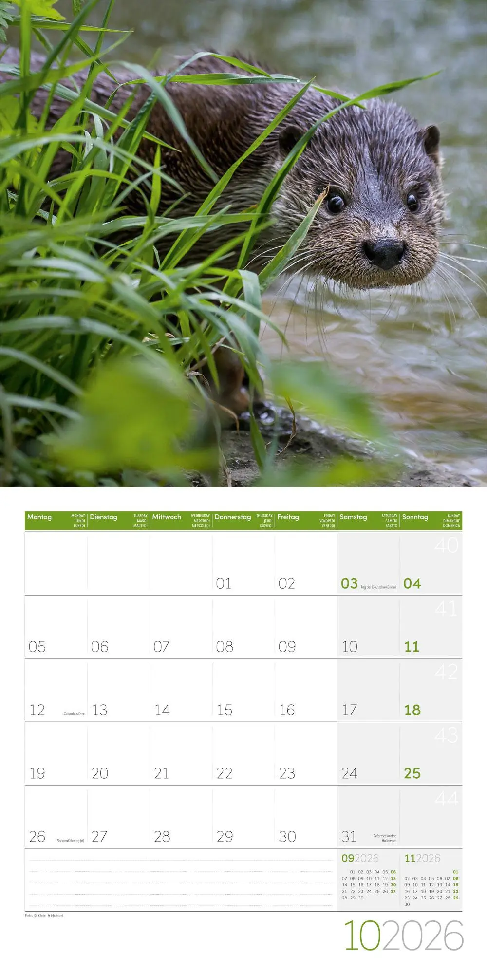 Bild: 9783838446066 | Otter Broschürenkalender 2026 - 30x30 - Art12 | GmbH | Kalender | 2026