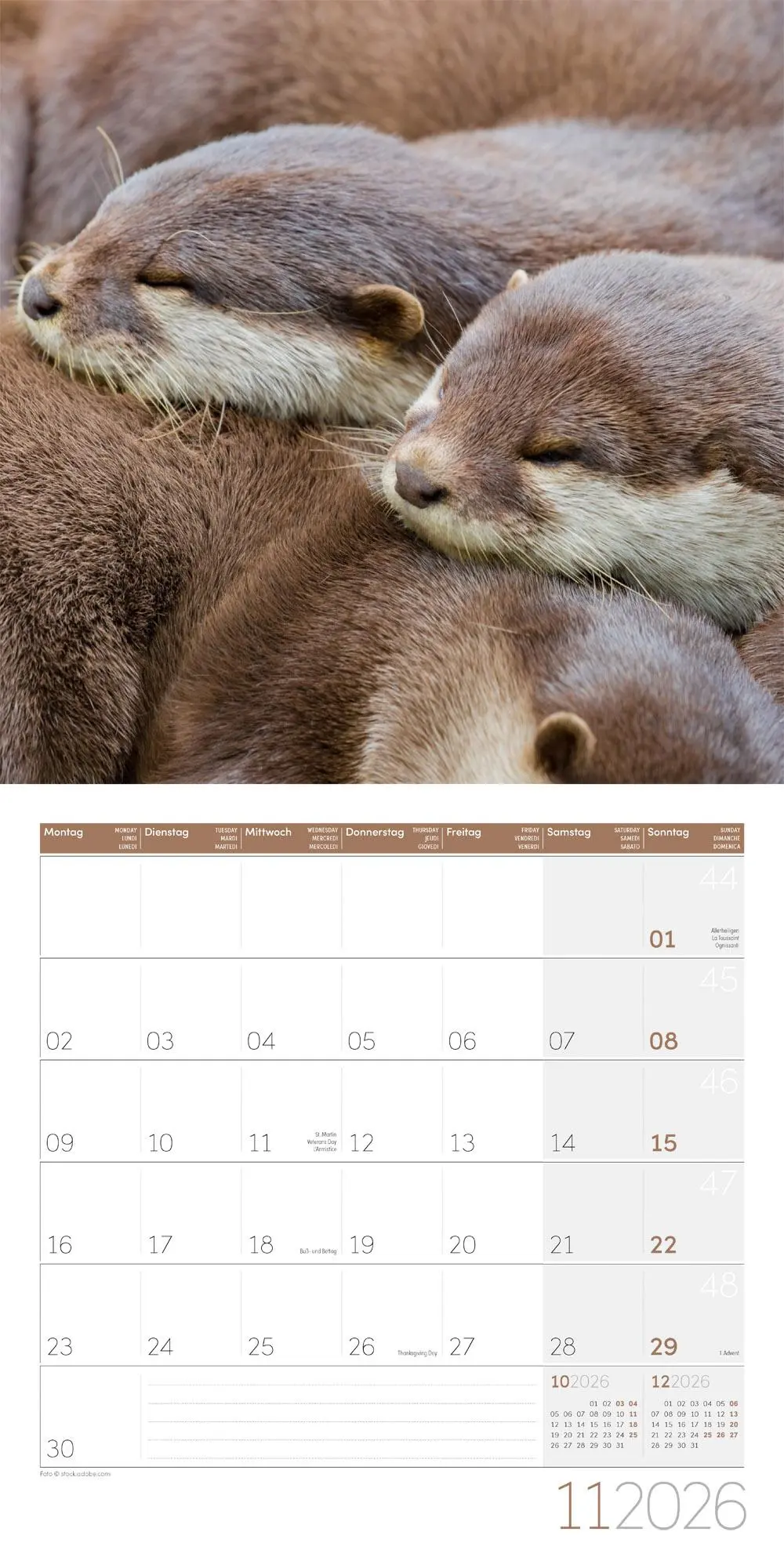 Bild: 9783838446066 | Otter Broschürenkalender 2026 - 30x30 - Art12 | GmbH | Kalender | 2026