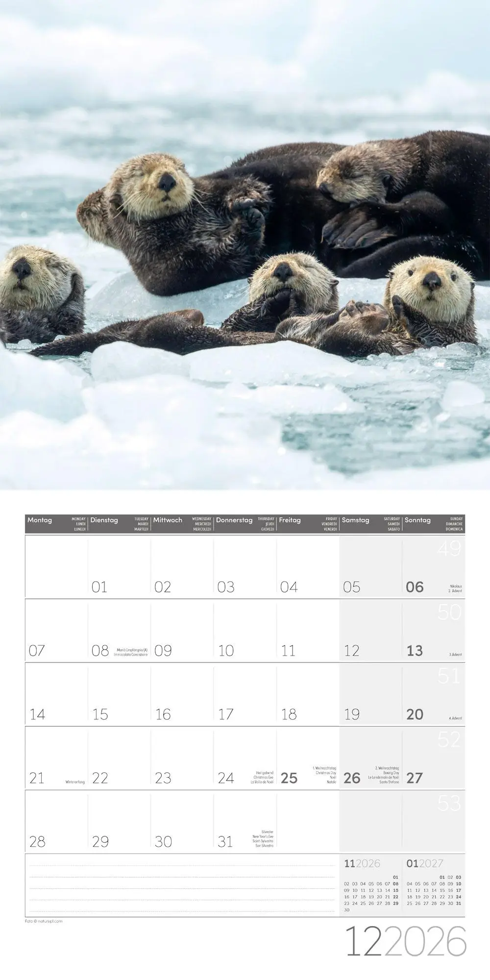 Bild: 9783838446066 | Otter Broschürenkalender 2026 - 30x30 - Art12 | GmbH | Kalender | 2026