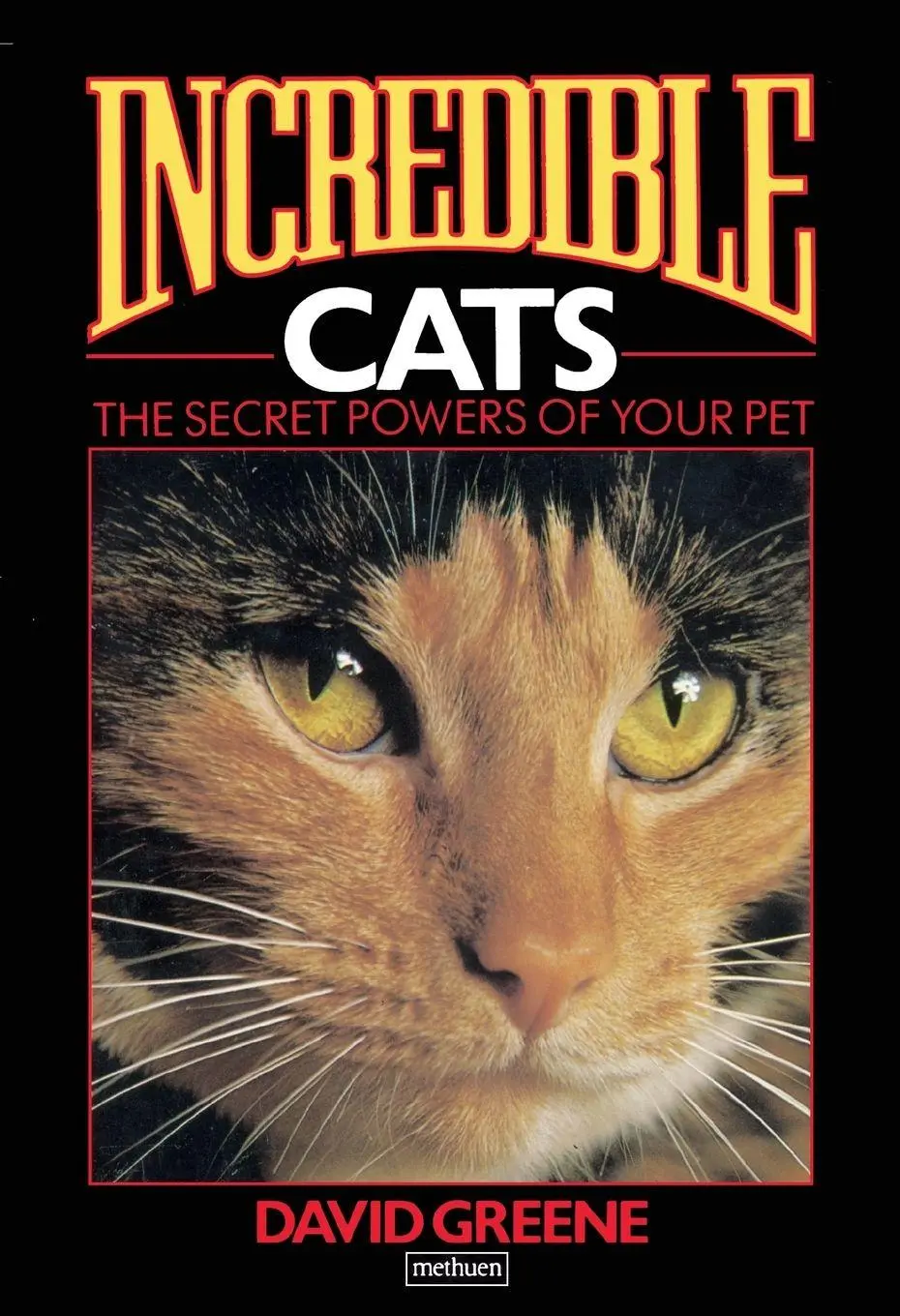 Cover: 9781846556166 | Incredible Cats | David Greene | Taschenbuch | Englisch | 2011