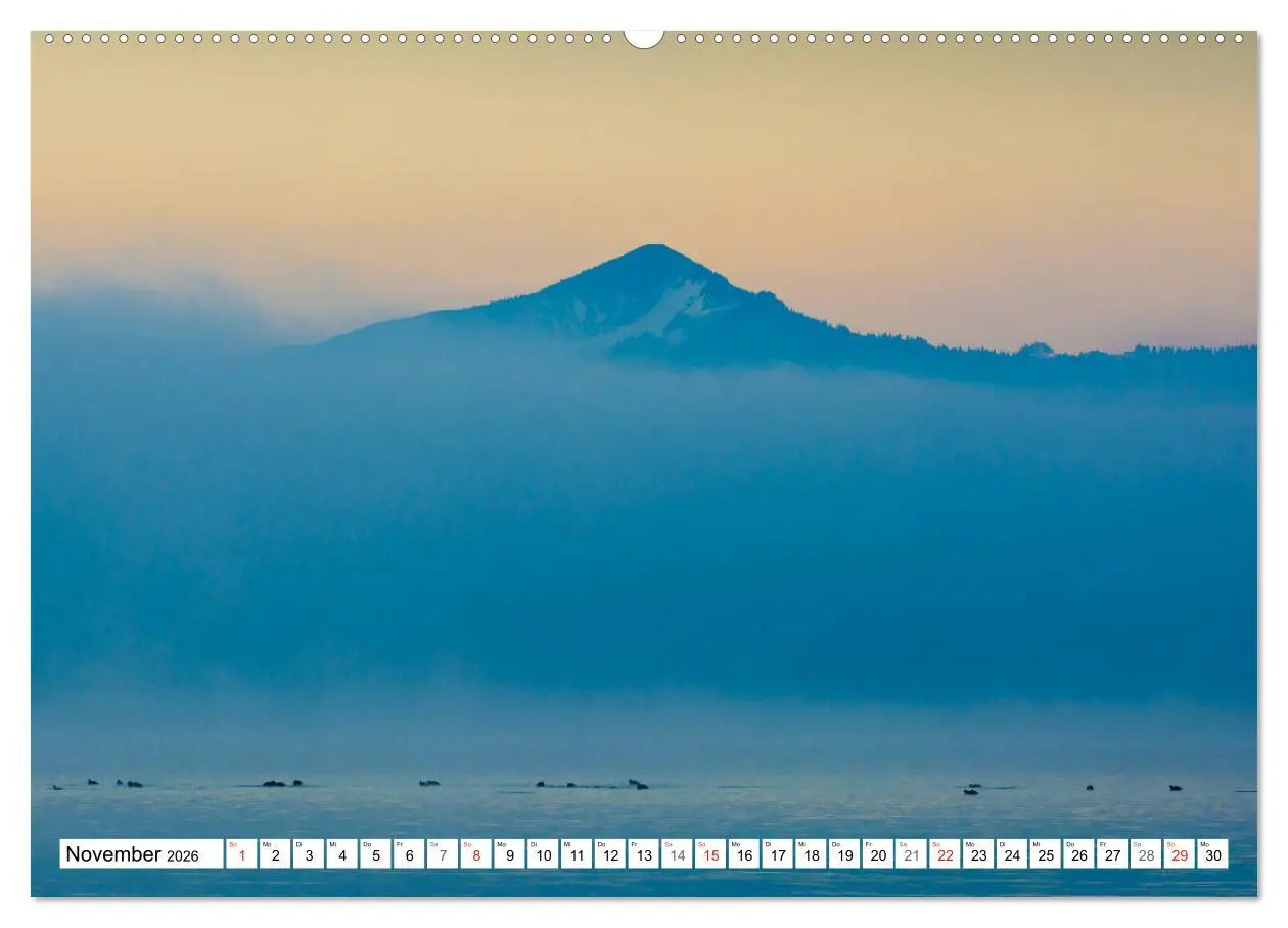 Bild: 9783457736166 | Der Chiemsee - Ansichten zum Träumen (Wandkalender 2026 DIN A2...