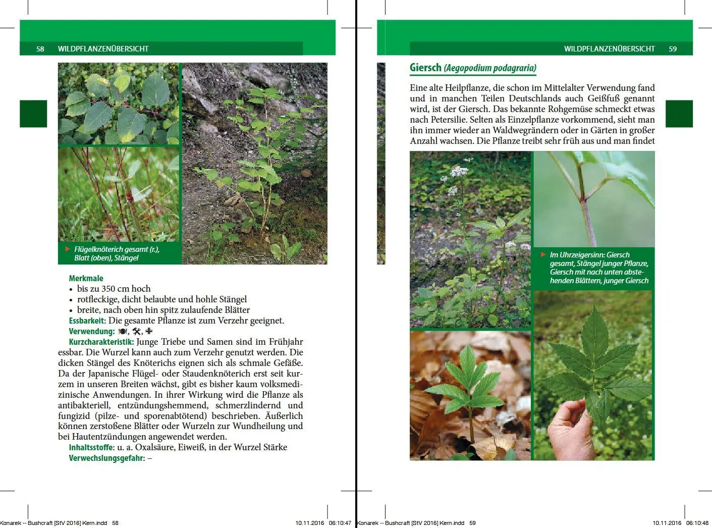 Bild: 9783702016166 | Bushcraft | Survivalwissen Wildpflanzen Europas | Lars Konarek | Buch