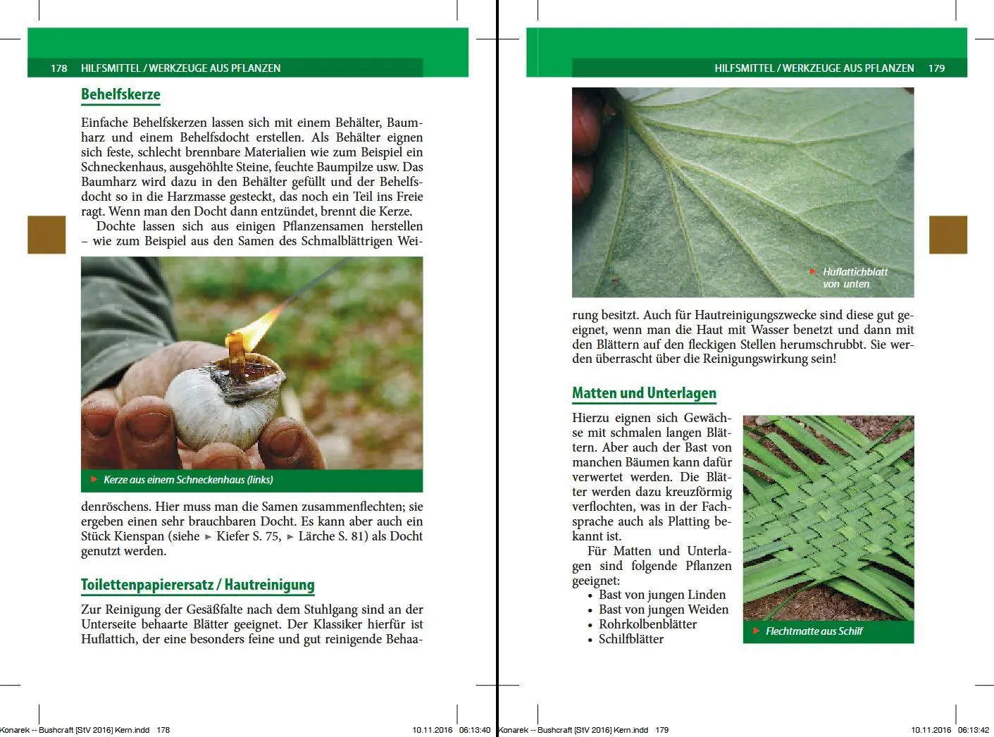 Bild: 9783702016166 | Bushcraft | Survivalwissen Wildpflanzen Europas | Lars Konarek | Buch