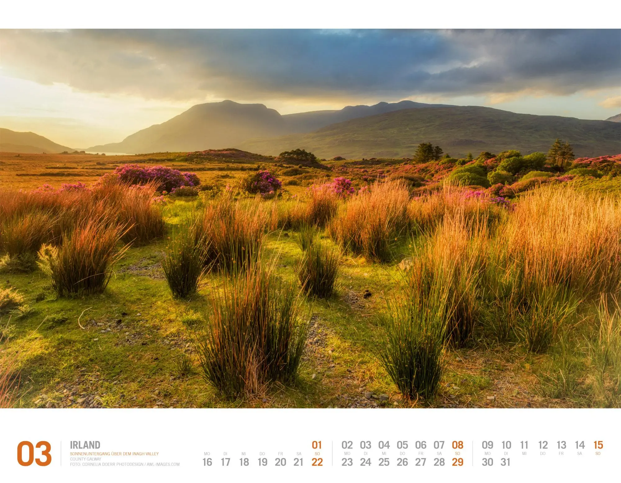 Bild: 9783838436166 | Irland Kalender 2026 Unterwegs zwischen Irischer See und Atlantik