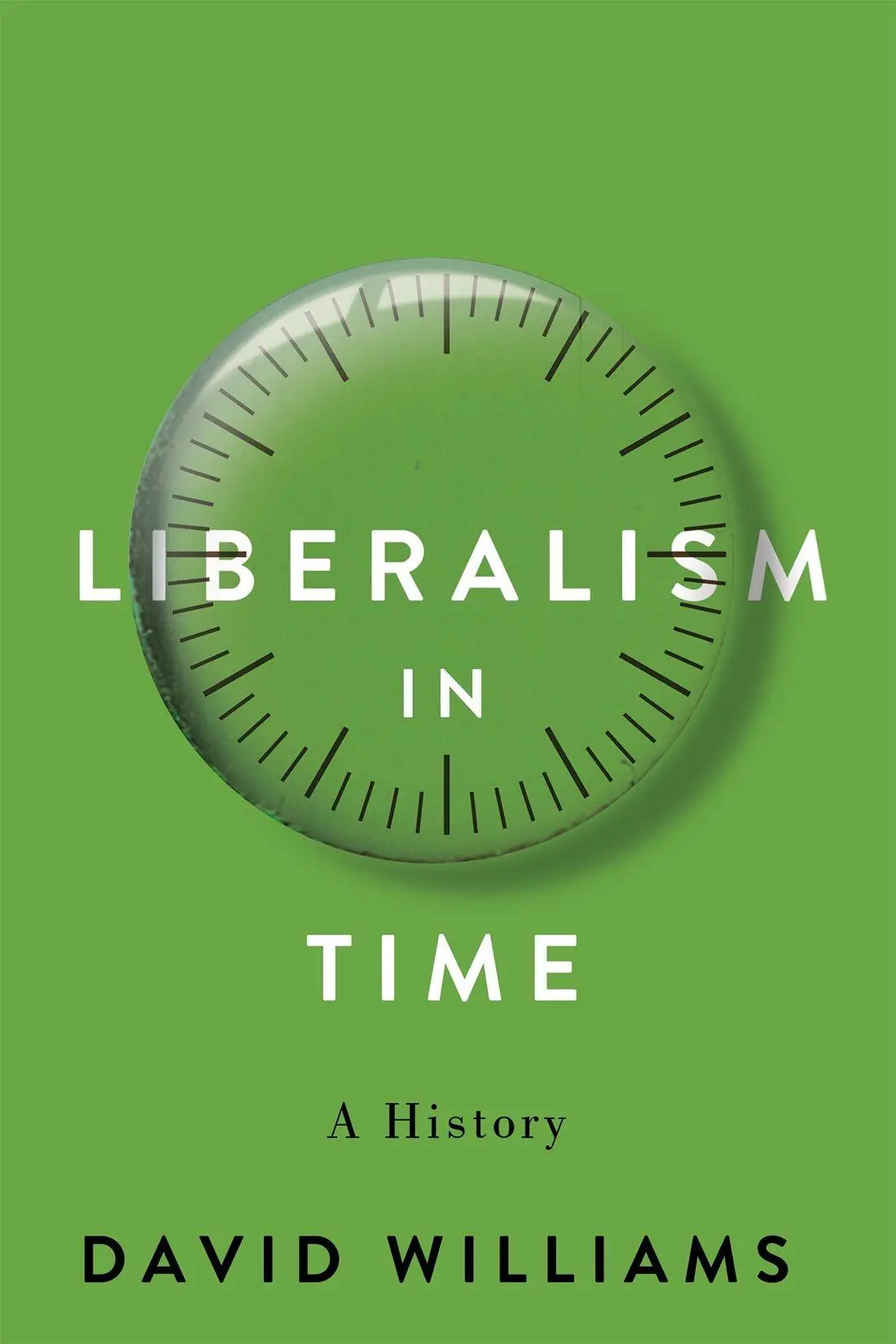 Cover: 9780228026266 | Liberalism in Time | A History | David Williams | Buch | Englisch