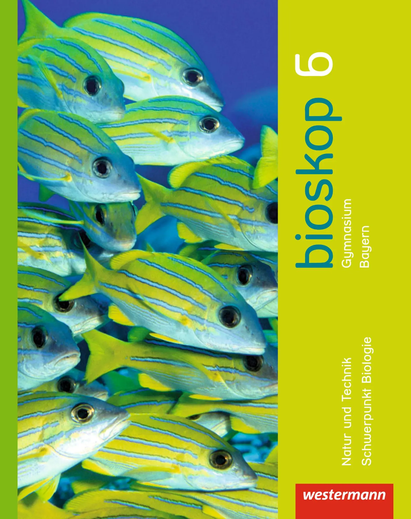 Cover: 9783141506266 | bioskop SI 6. Schulbuch. Bayern | Ausgabe 2014 | Rainer Hausfeld