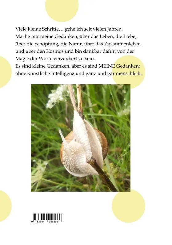 Rückseite: 9783384156266 | Viele kleine Schritte... | Geschichten und Gedichte | Katja Hildebrand