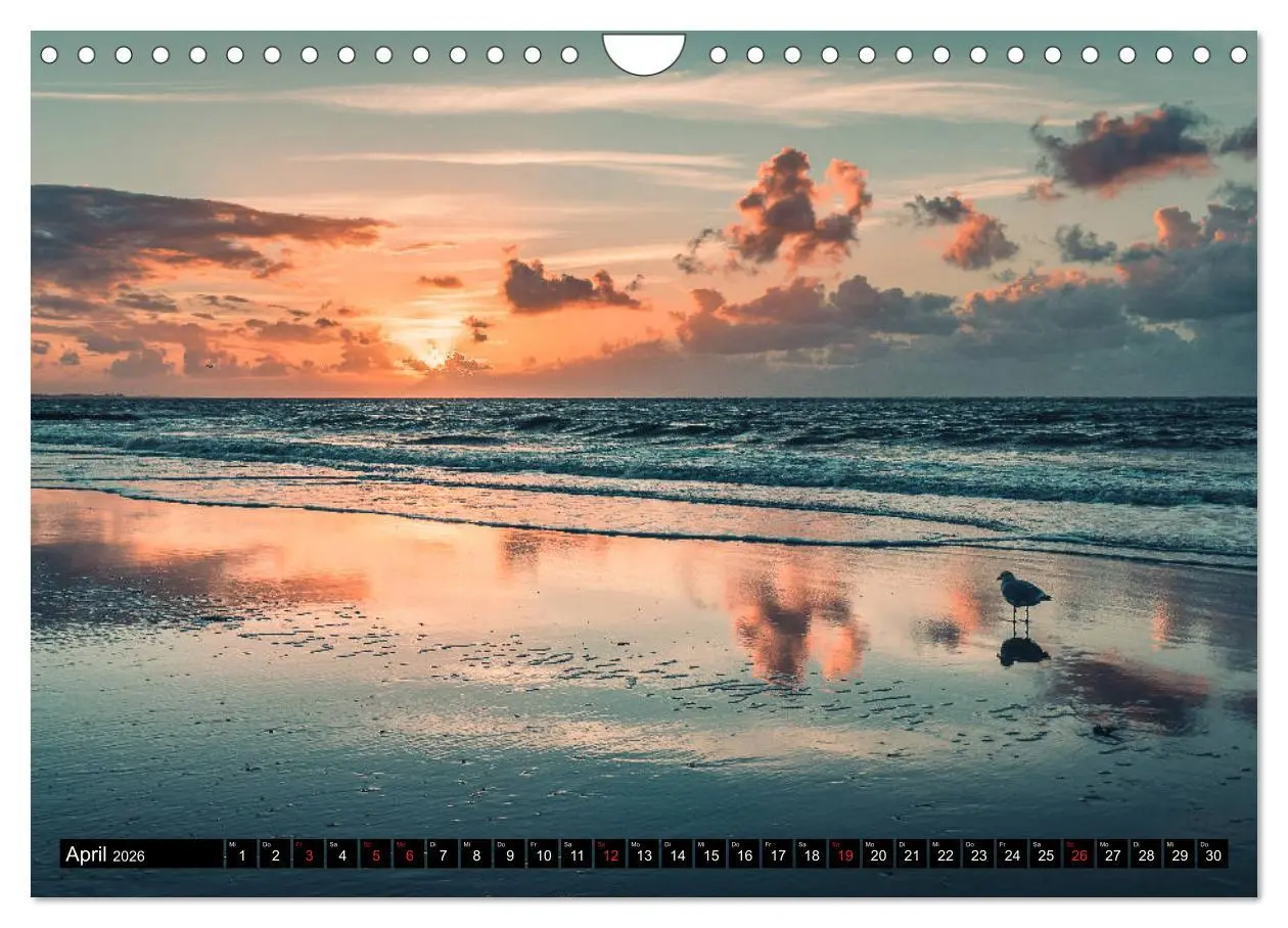 Bild: 9783457726266 | Mein Jahr auf Norderney (Wandkalender 2026 DIN A4 quer), CALVENDO...