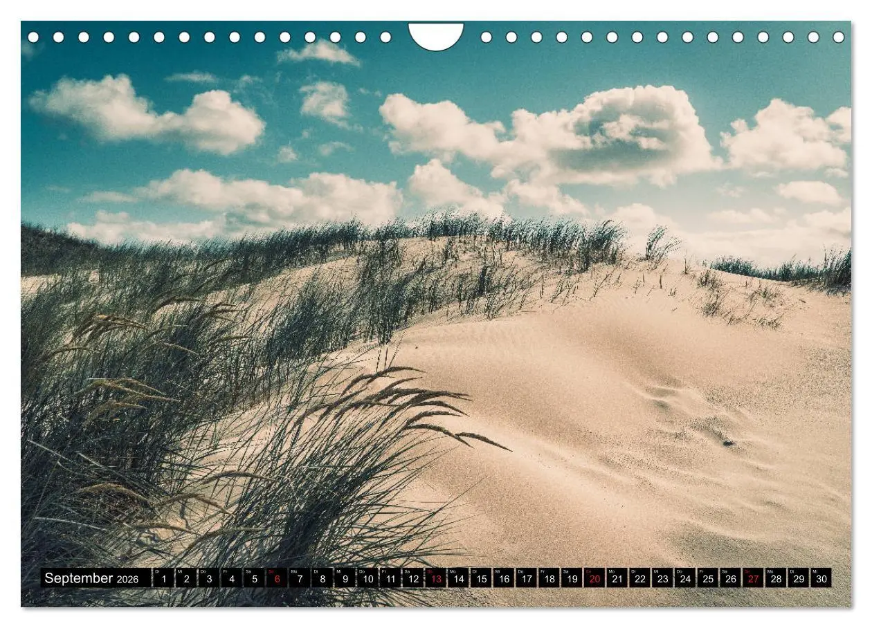 Bild: 9783457726266 | Mein Jahr auf Norderney (Wandkalender 2026 DIN A4 quer), CALVENDO...