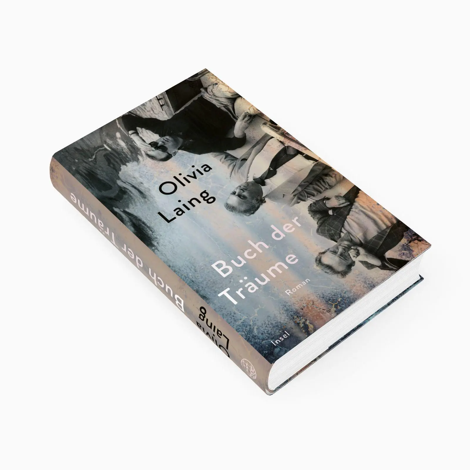 Bild: 9783458646266 | Buch der Träume | Olivia Laing | Buch | 272 S. | Deutsch | 2026