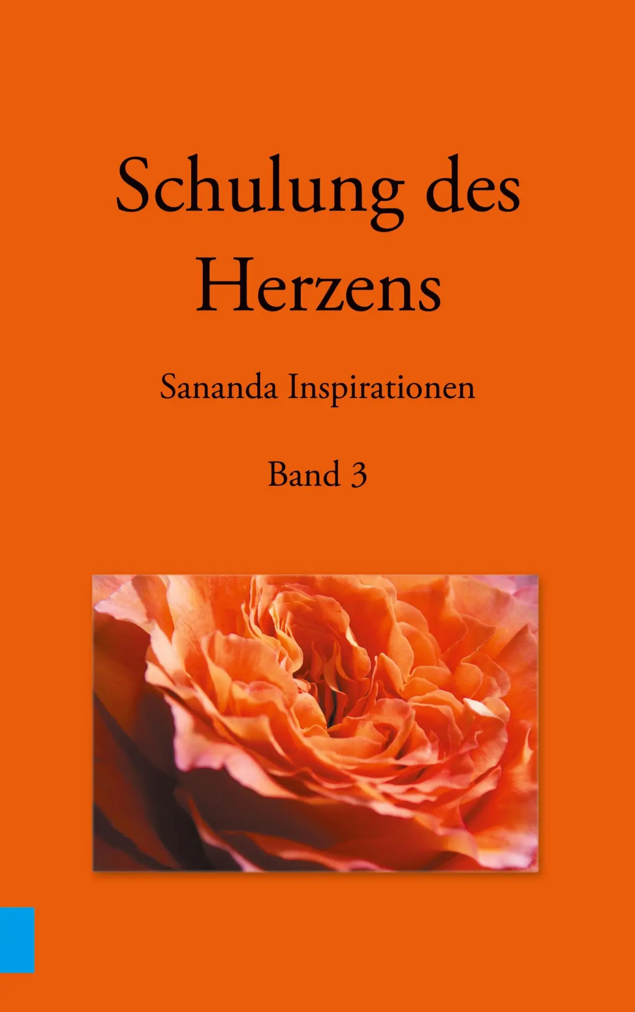 Cover: 9783749496266 | Schulung des Herzens - Sananda Inspirationen | Band 3 | Heike Stuckert