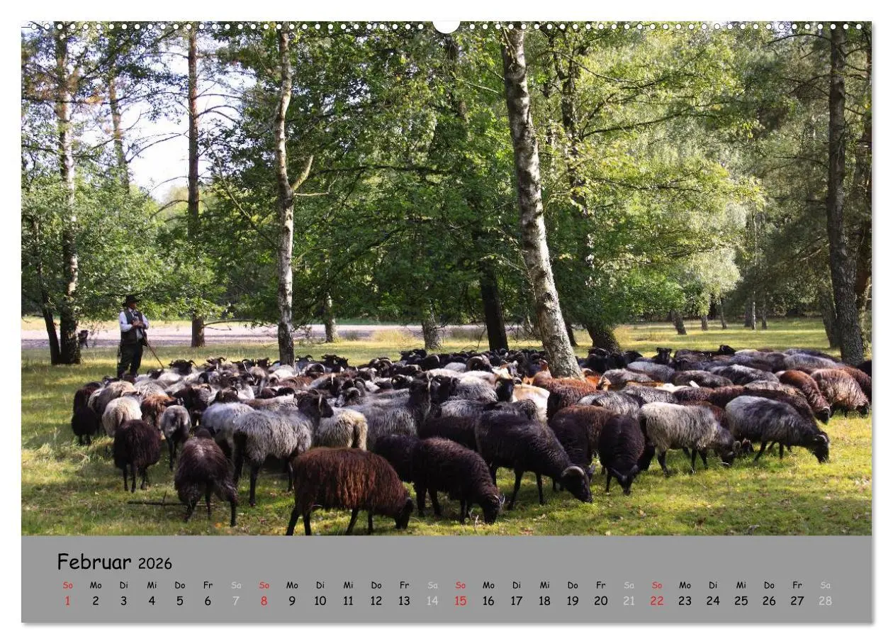 Bild: 9783516106466 | Lüneburger Heide - schön zu jeder Jahreszeit (hochwertiger Premium...
