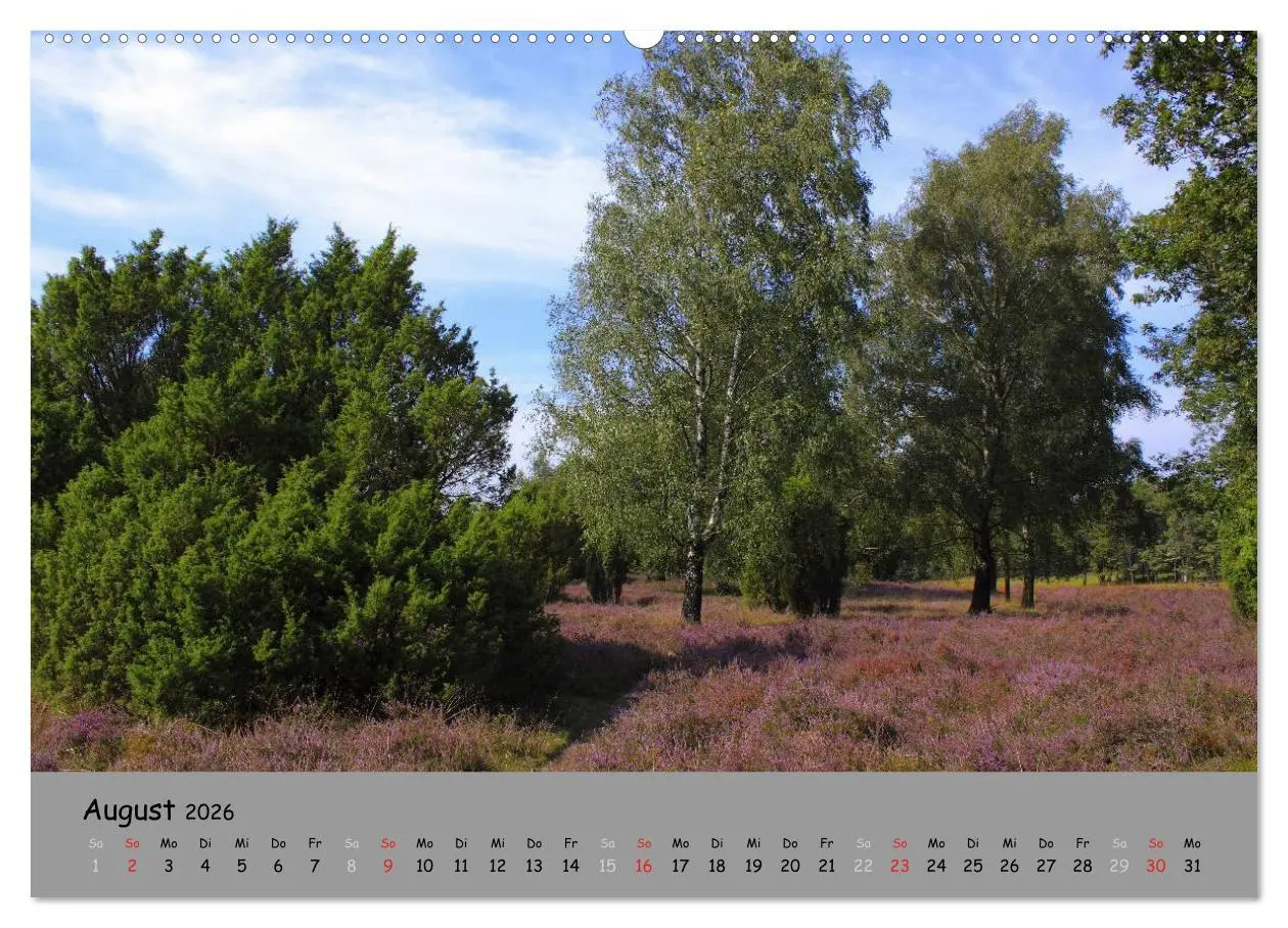 Bild: 9783516106466 | Lüneburger Heide - schön zu jeder Jahreszeit (hochwertiger Premium...