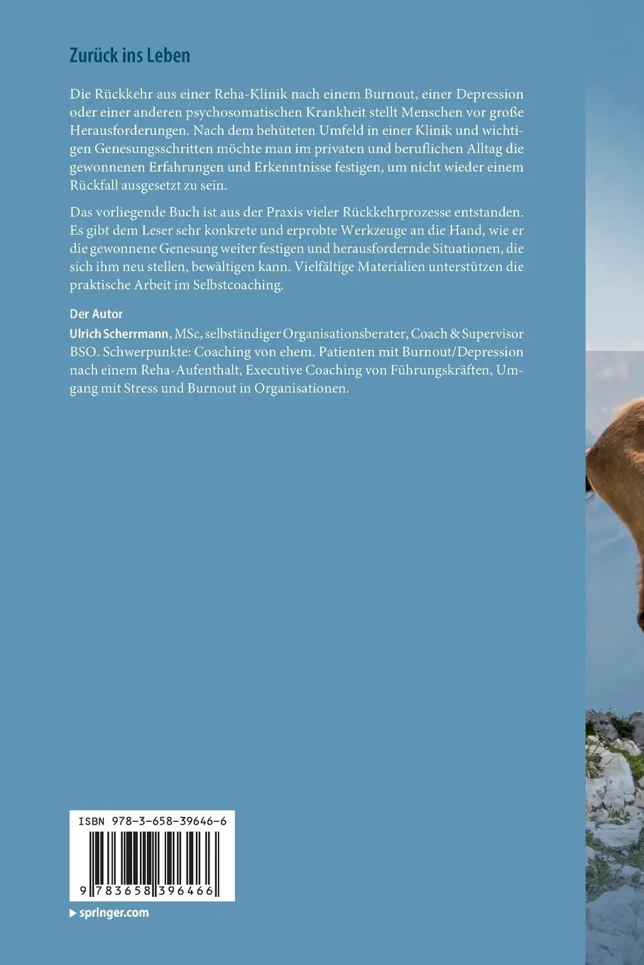 Rückseite: 9783658396466 | Zurück ins Leben | Ulrich Scherrmann | Taschenbuch | Paperback | xvii