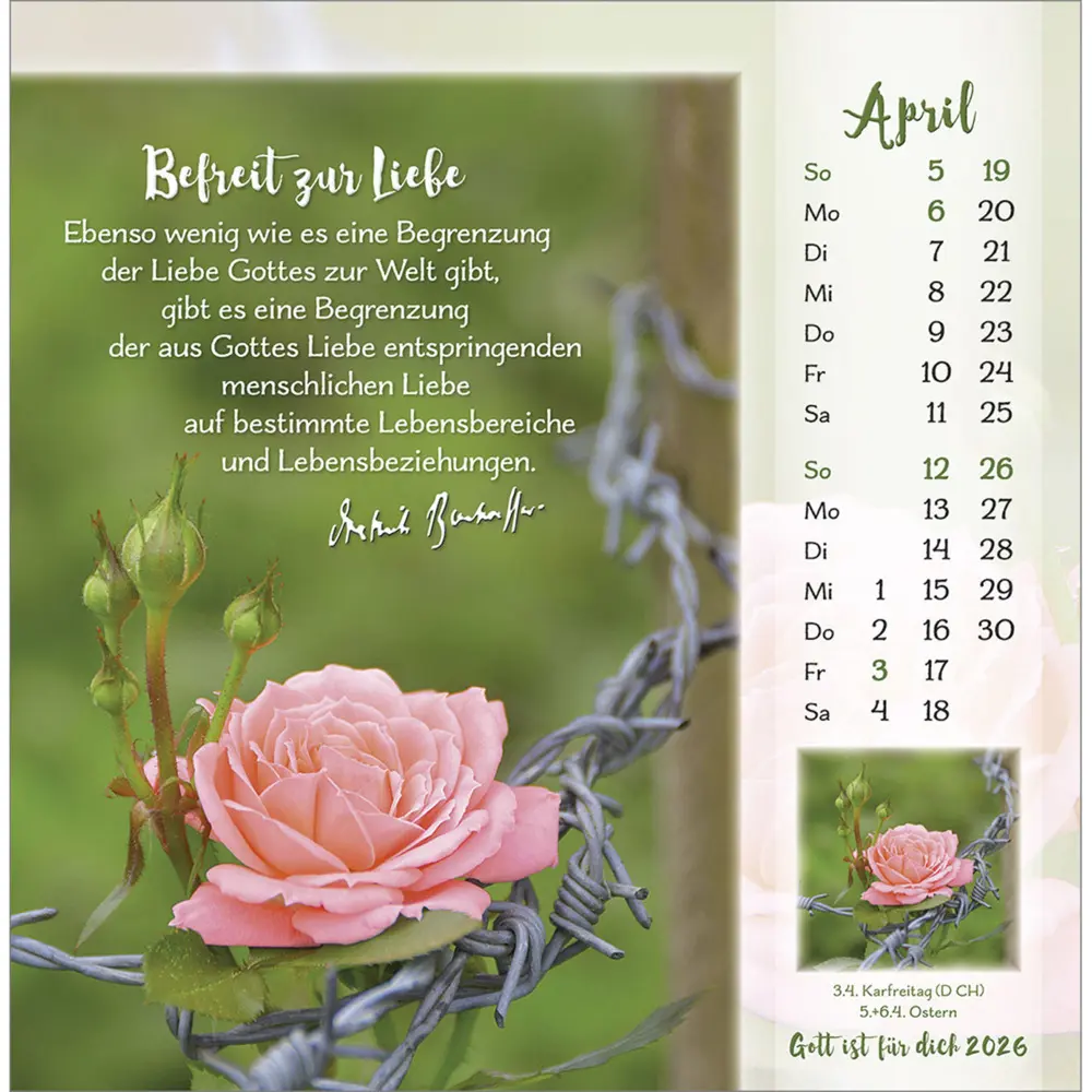 Bild: 9783754876466 | Gott ist für dich 2026 | Dietrich Bonhoeffer-Postkarten-Kalender