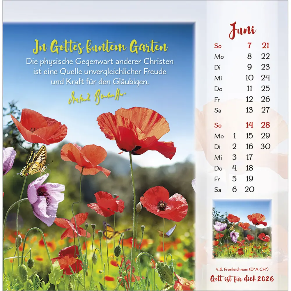 Bild: 9783754876466 | Gott ist für dich 2026 | Dietrich Bonhoeffer-Postkarten-Kalender