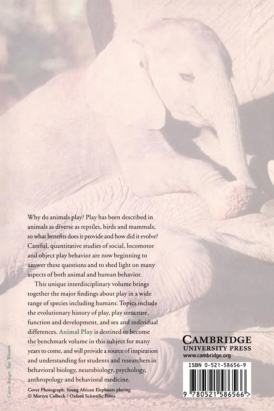 Rückseite: 9780521586566 | Animal Play | Evolutionary, Comparative and Ecological Perspectives