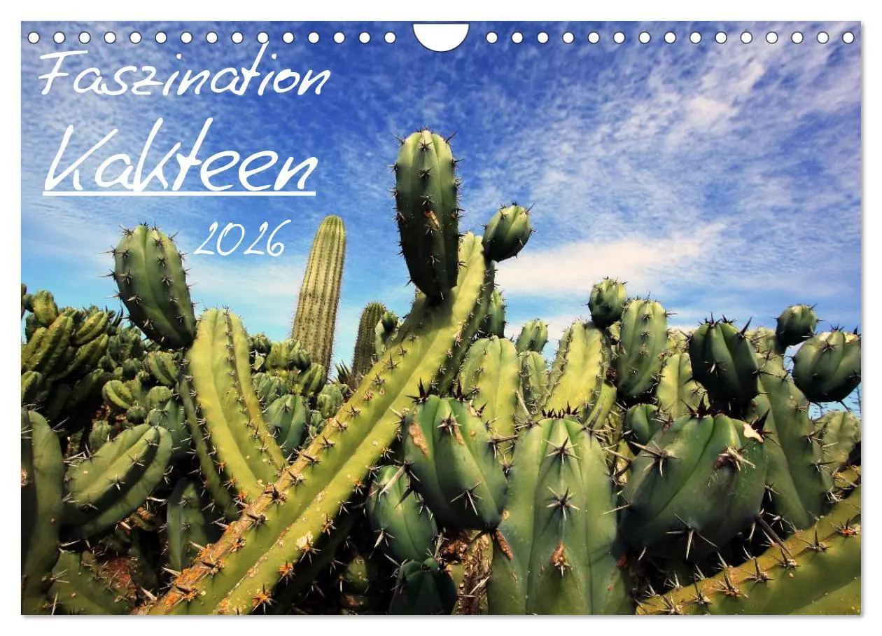 Cover: 9783516196566 | Faszination Kakteen (Wandkalender 2026 DIN A4 quer), CALVENDO...