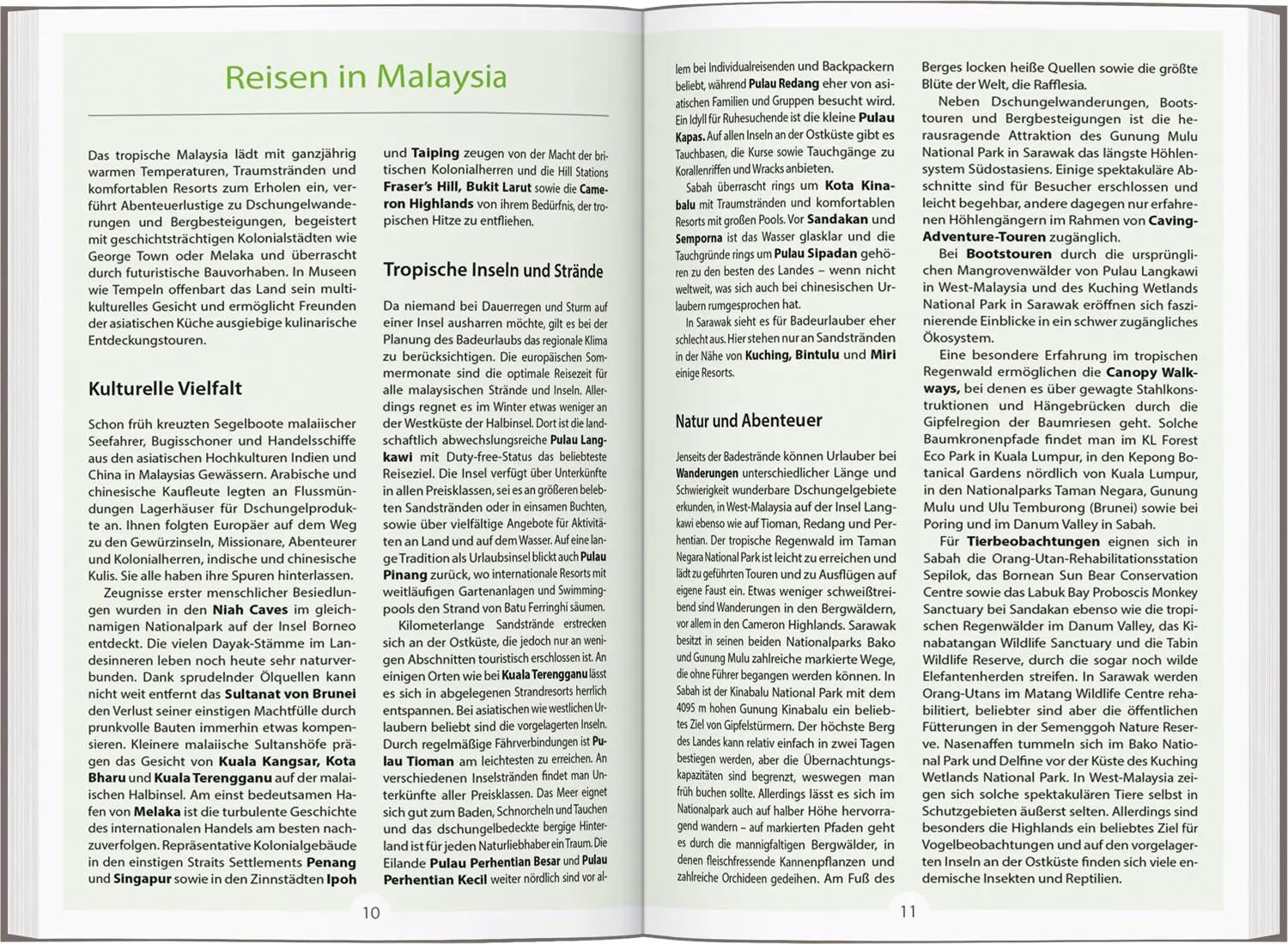 Bild: 9783616016566 | DUMONT Reise-Handbuch Reiseführer Malaysia, Singapur, Brunei | Buch