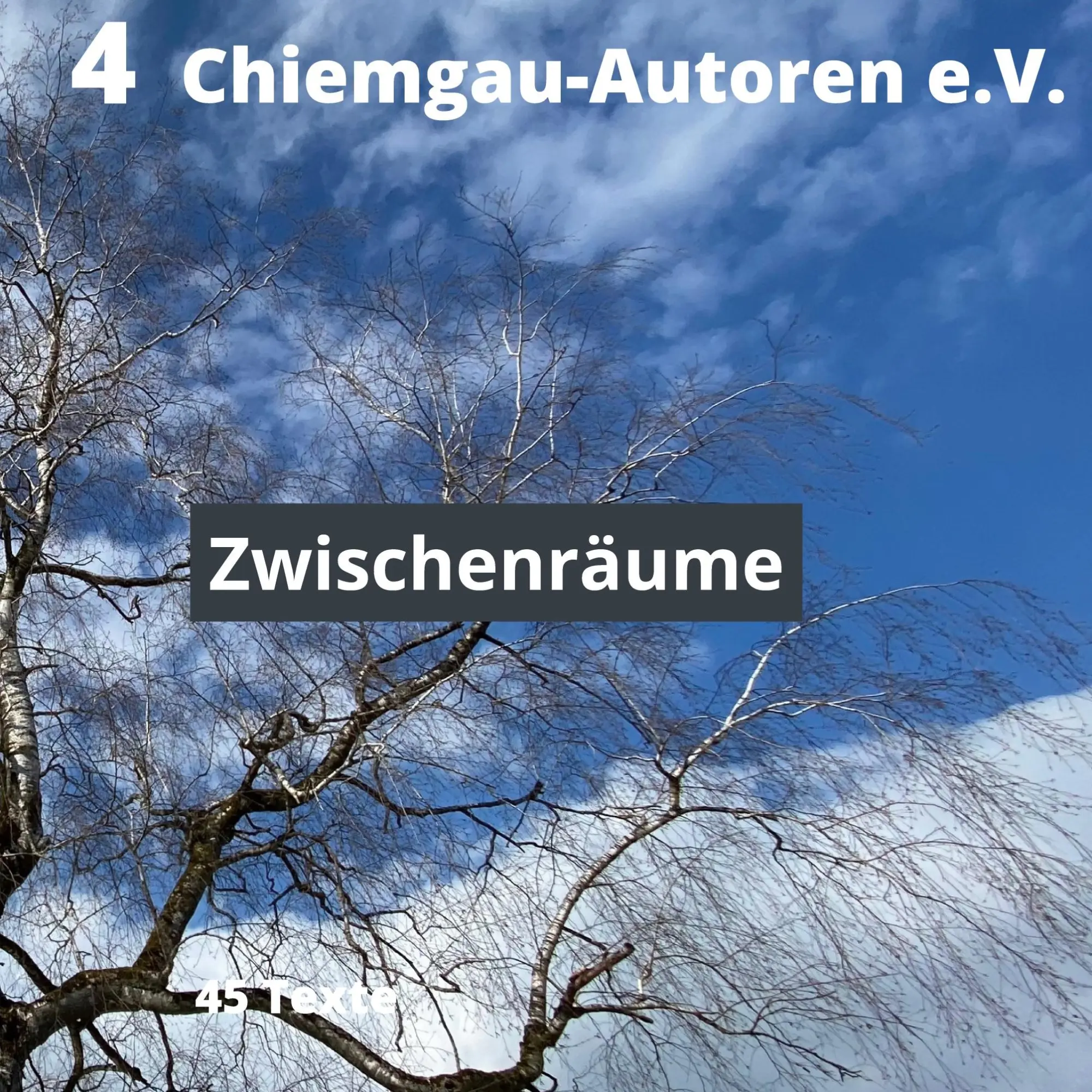Cover: 9783753496566 | Zwischenräume | Chiemgau-Autoren e. V. Traunstein | Taschenbuch | 2021
