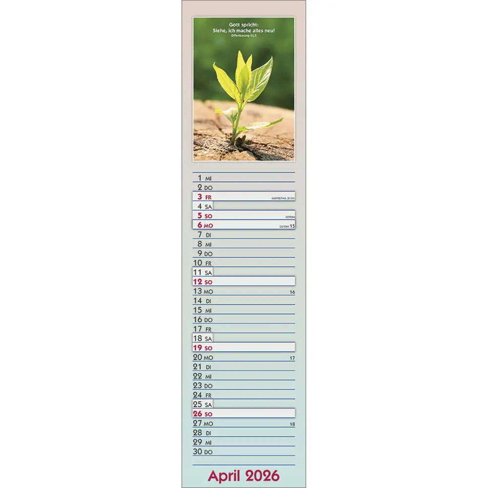 Bild: 9783754866566 | Viel Glück und viel Segen 2026 | Terminkalender | Kalender | 15 S.
