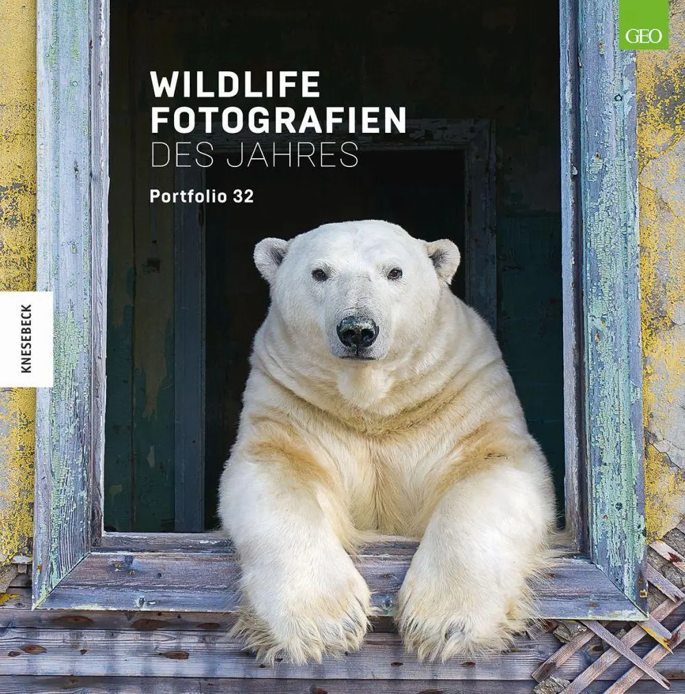 Cover: 9783957286666 | Wildlife Fotografien des Jahres - Portfolio 32 | Museum | Buch | 2022