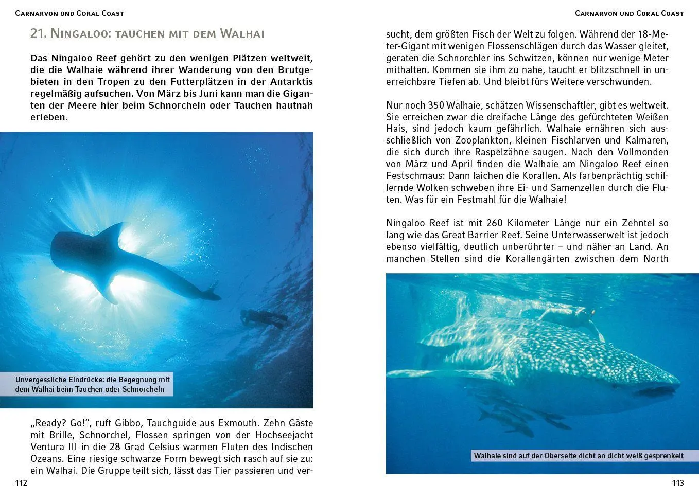 Bild: 9783968556666 | Australien - Der Westen | 50 Tipps abseits der ausgetretenen Pfade