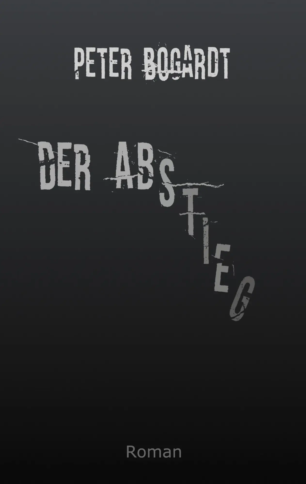 Cover: 9783696356866 | Der Abstieg | Peter Bogardt | Taschenbuch | 206 S. | Deutsch | 2026