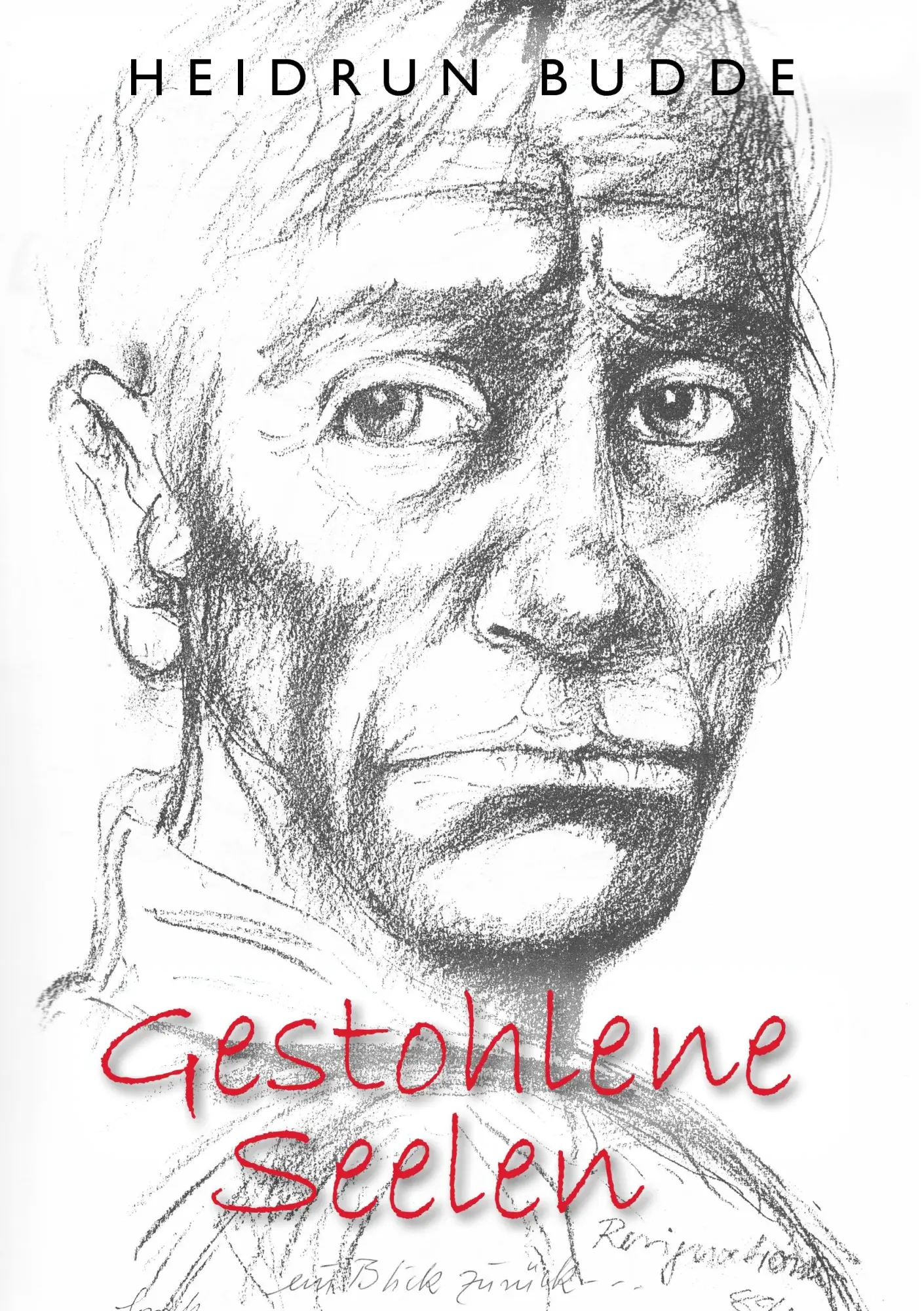 Cover: 9783833416866 | Gestohlene Seelen | Heidrun Budde | Taschenbuch | 316 S. | Deutsch