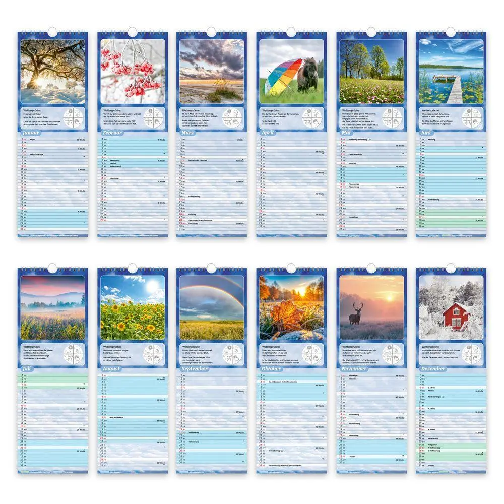Bild: 9783988026866 | TRÖTSCH - Streifenkalender Wetterkalender 2027 Notizkalender | KG