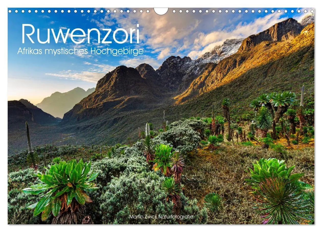 Cover: 9783435116966 | Ruwenzori - Afrikas mystisches Hochgebirge (Wandkalender 2025 DIN...