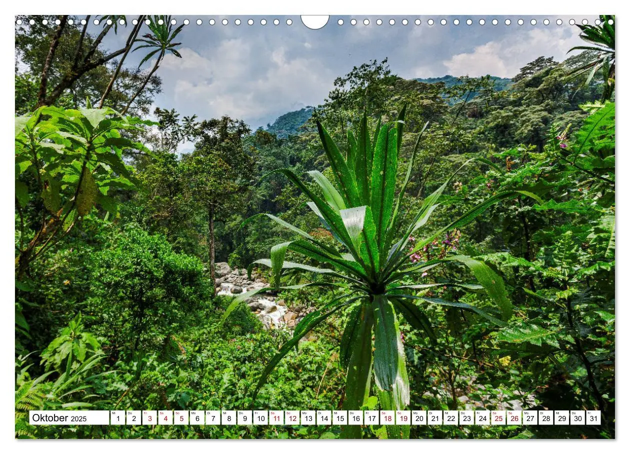 Bild: 9783435116966 | Ruwenzori - Afrikas mystisches Hochgebirge (Wandkalender 2025 DIN...