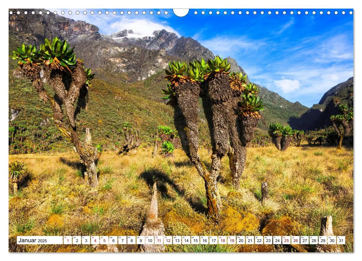Bild: 9783435116966 | Ruwenzori - Afrikas mystisches Hochgebirge (Wandkalender 2025 DIN...