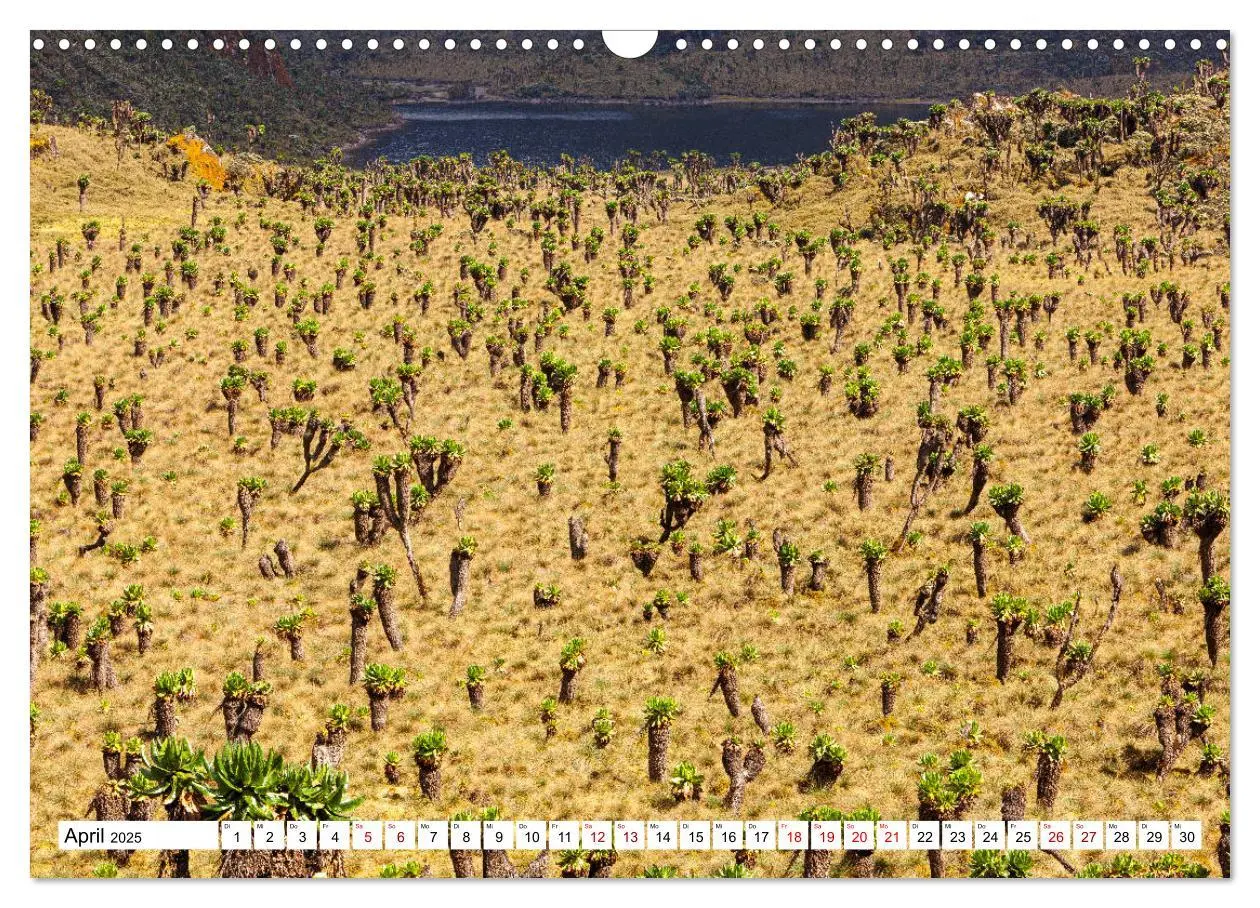 Bild: 9783435116966 | Ruwenzori - Afrikas mystisches Hochgebirge (Wandkalender 2025 DIN...