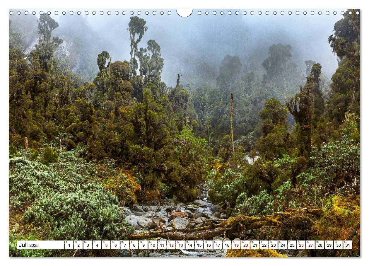 Bild: 9783435116966 | Ruwenzori - Afrikas mystisches Hochgebirge (Wandkalender 2025 DIN...