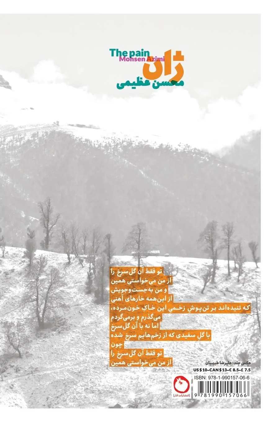 Cover: 9781990157066 | The Pain | Mohsen Azimi | Taschenbuch | Persisch | 2021