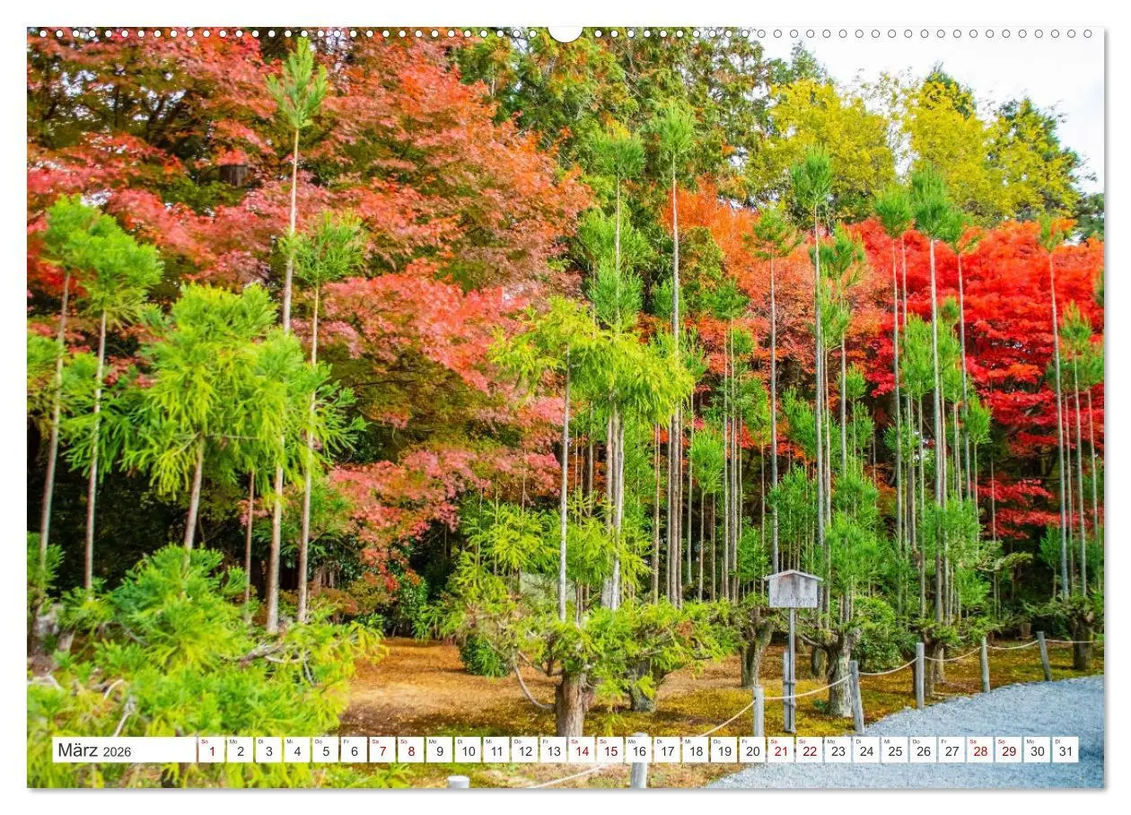 Bild: 9783457407066 | Herbst in Japan (hochwertiger Premium Wandkalender 2026 DIN A2...
