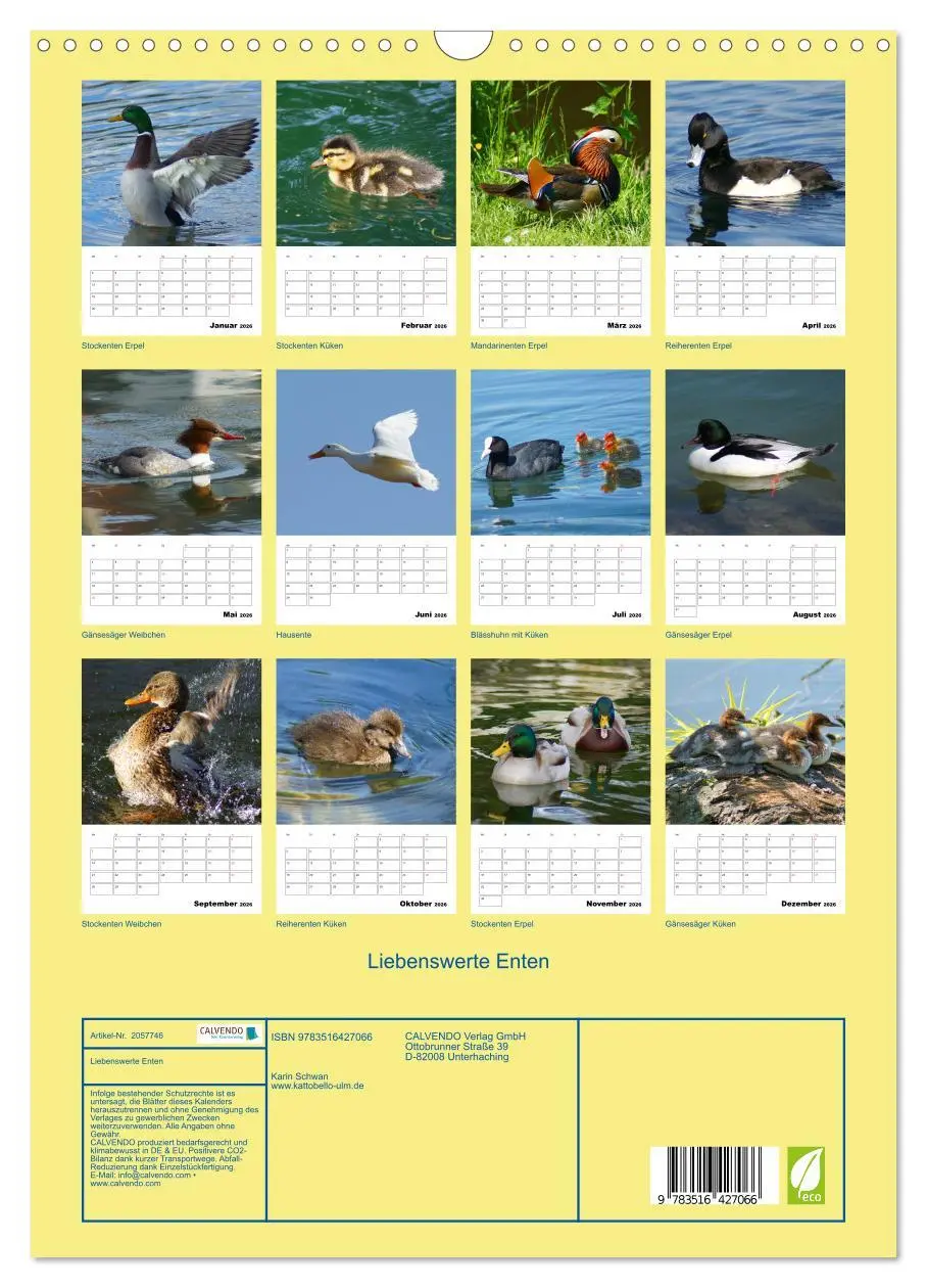 Bild: 9783516427066 | Liebenswerte Enten (Wandkalender 2026 DIN A3 hoch), CALVENDO...