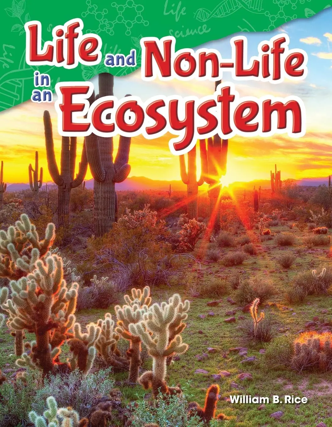 Cover: 9781480747166 | Life and Non-Life in an Ecosystem | William B. Rice | Taschenbuch