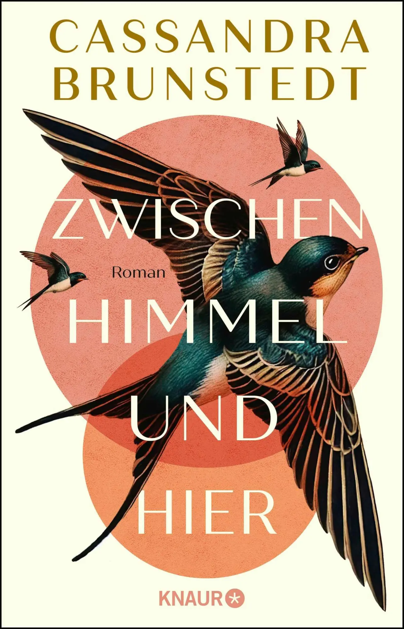 Cover: 9783426567166 | Zwischen Himmel und hier | Cassandra Brunstedt | Taschenbuch | 416 S.