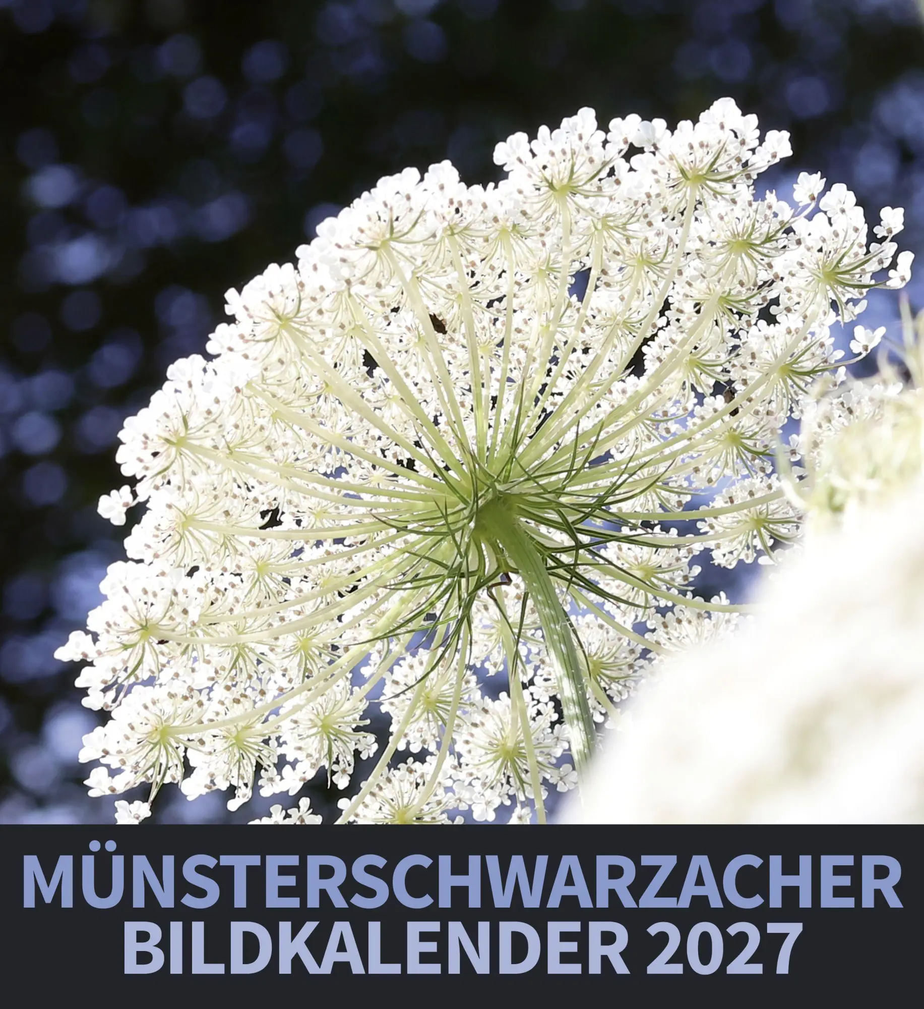Cover: 9783736507166 | Münsterschwarzacher Bildkalender 2027 | Abtei Münsterschwarzach | 2027
