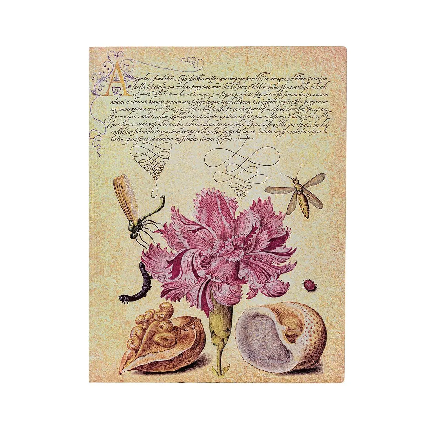 Cover: 9781439797266 | Softcover Notizbuch Rosa Nelke Ultra Unliniert | Paperblanks | 2026
