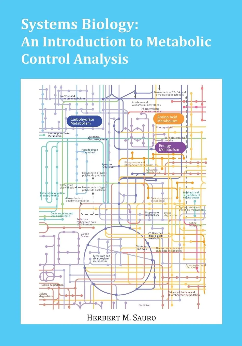 Cover: 9780982477366 | Systems Biology | An Introduction to Metabolic Control Analysis | Buch