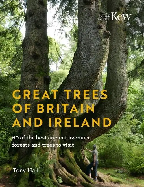 Cover: 9781842467466 | Great Trees of Britain and Ireland | Tony Hall | Buch | Gebunden