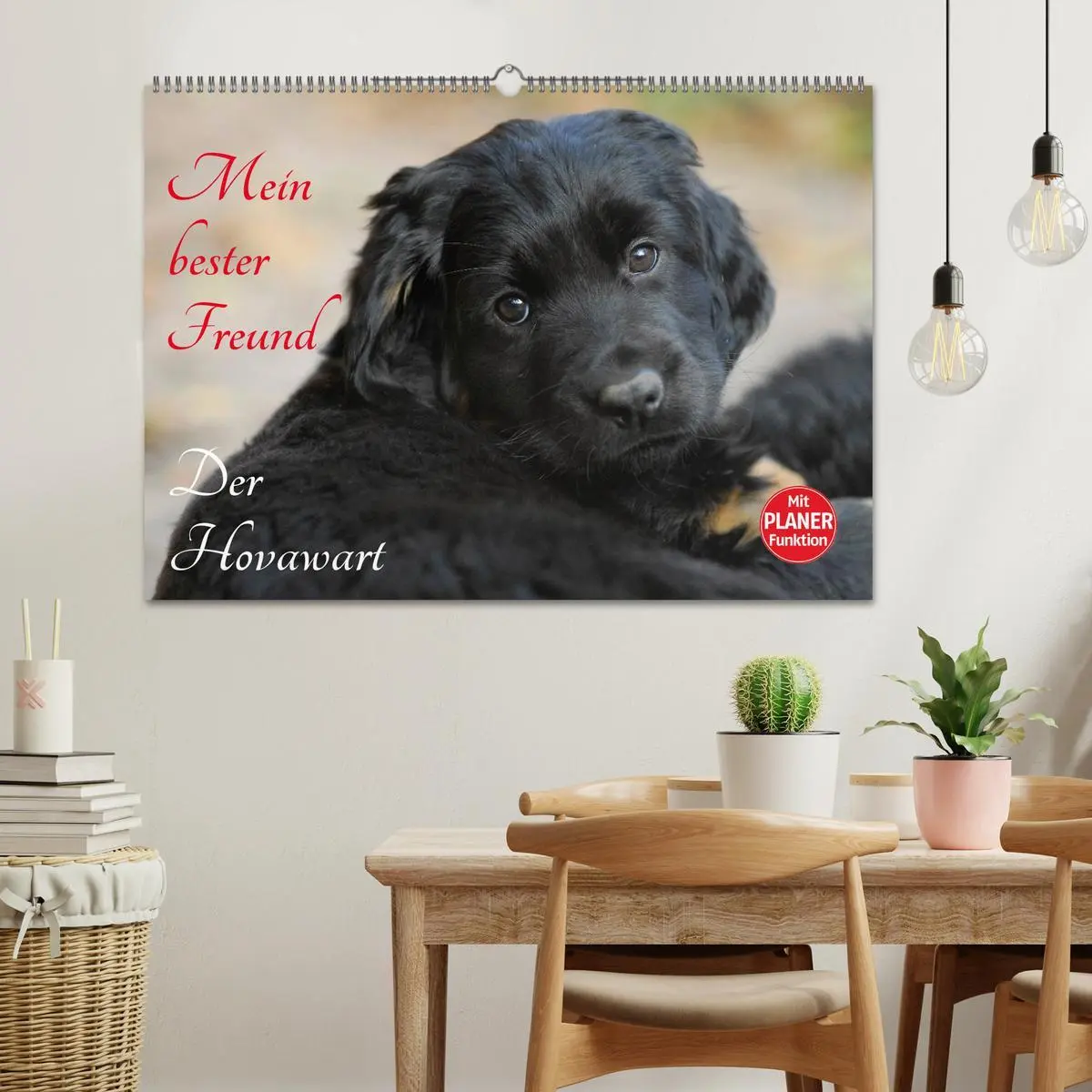 Bild: 9783516007466 | Mein bester Freund - Der Hovawart (Wandkalender 2026 DIN A2 quer),...