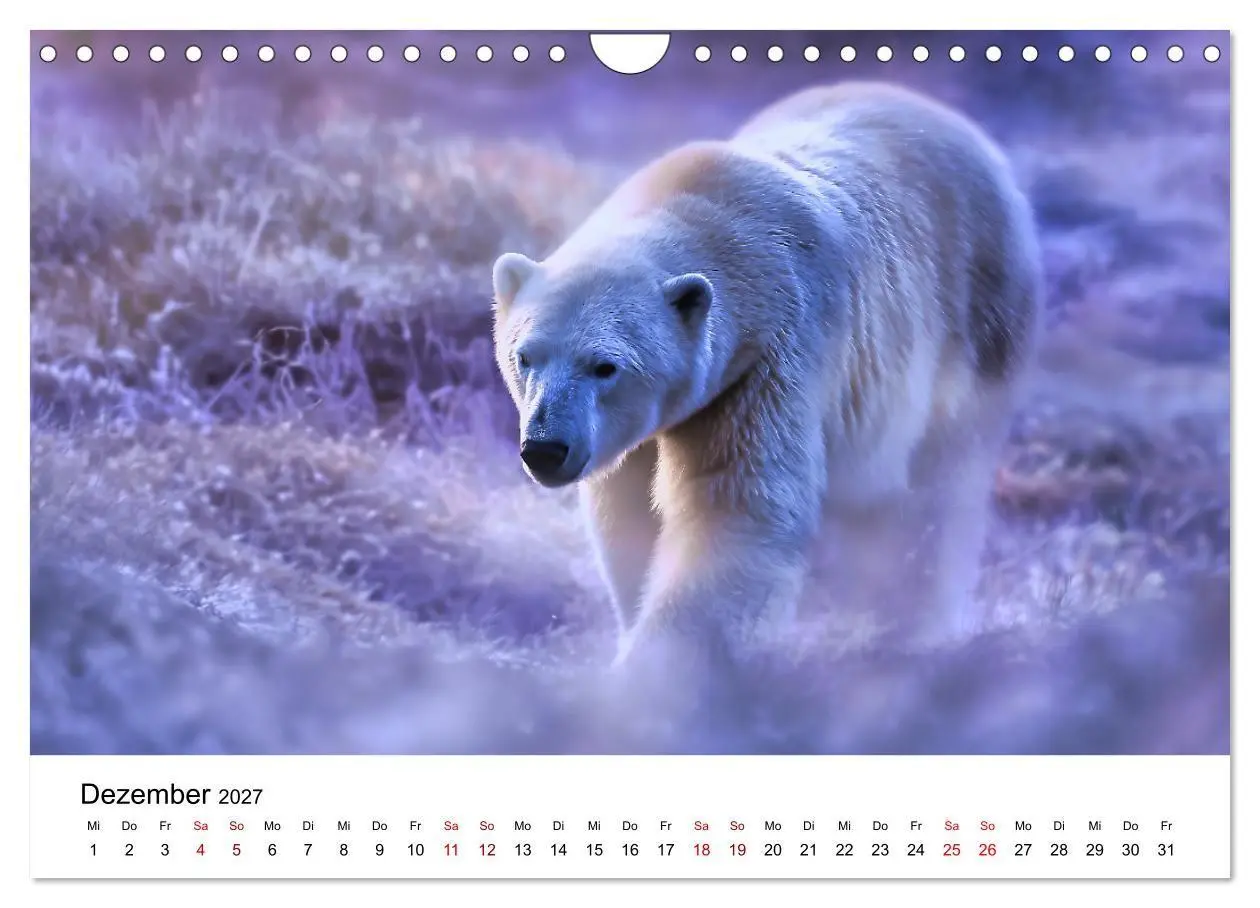 Bild: 9783516797466 | Könige des Nordens - Begegnungen mit Eisbären (Wandkalender 2027...