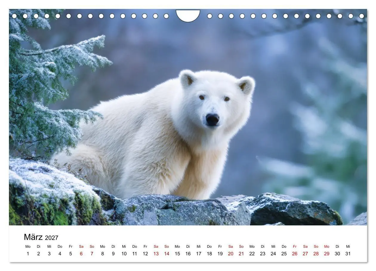 Bild: 9783516797466 | Könige des Nordens - Begegnungen mit Eisbären (Wandkalender 2027...