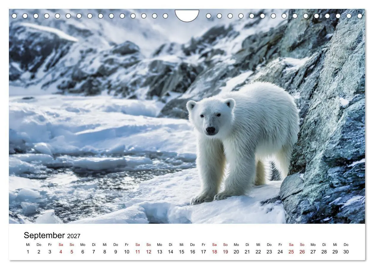 Bild: 9783516797466 | Könige des Nordens - Begegnungen mit Eisbären (Wandkalender 2027...
