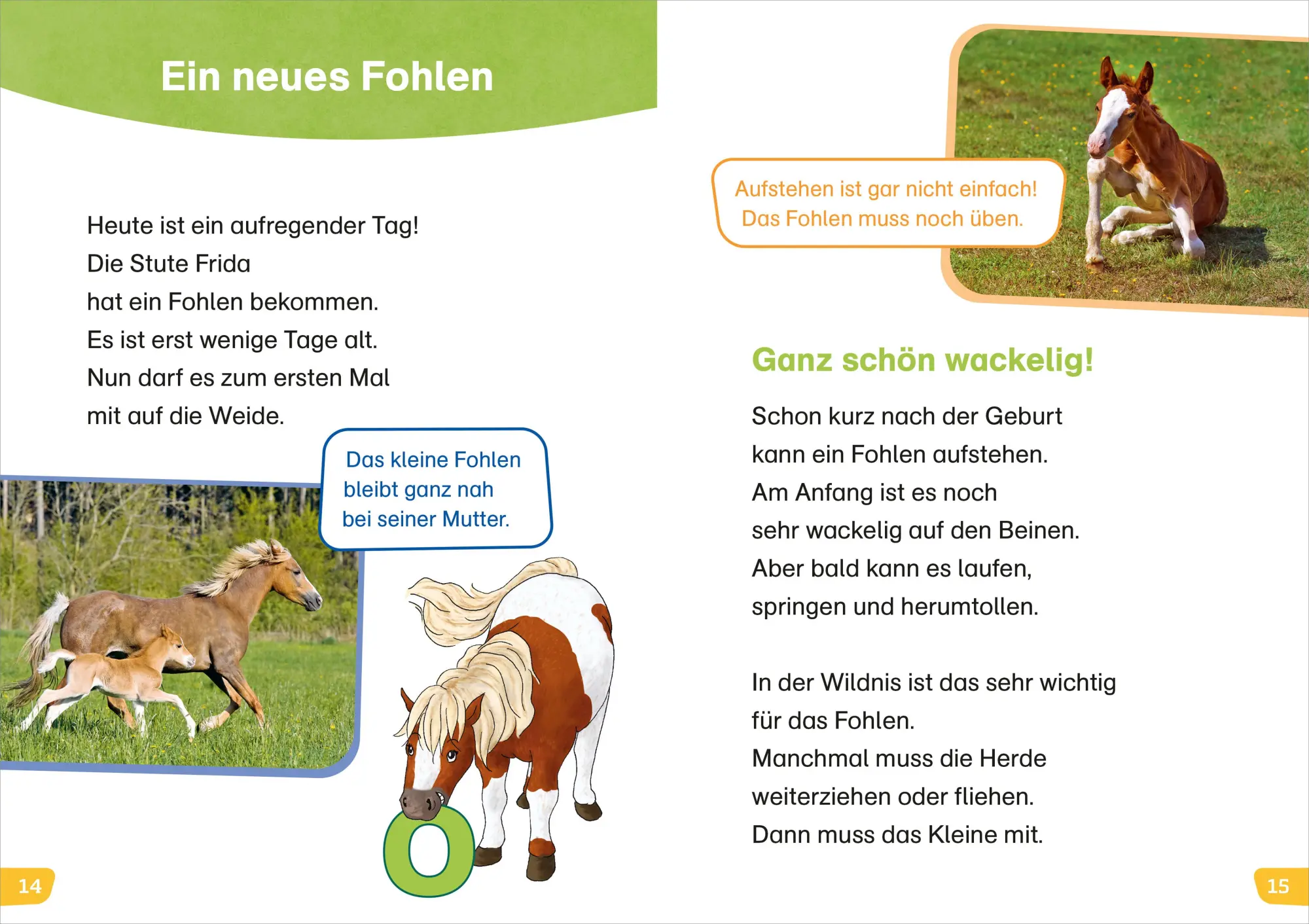 Bild: 9783788677466 | WAS IST WAS Erstes Lesen easy! Komm mit zu den Pferden | Meierjürgen